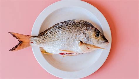 does fish cause cancer|Fish Consumption and Cancer .